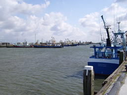 hafen lauwersoog