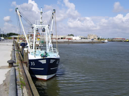 fischereiboot in lauweersoog