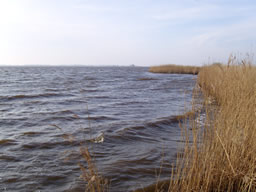 ufer vom lauwersmeer