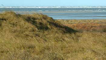 schiermonnikoog blick aufs watt