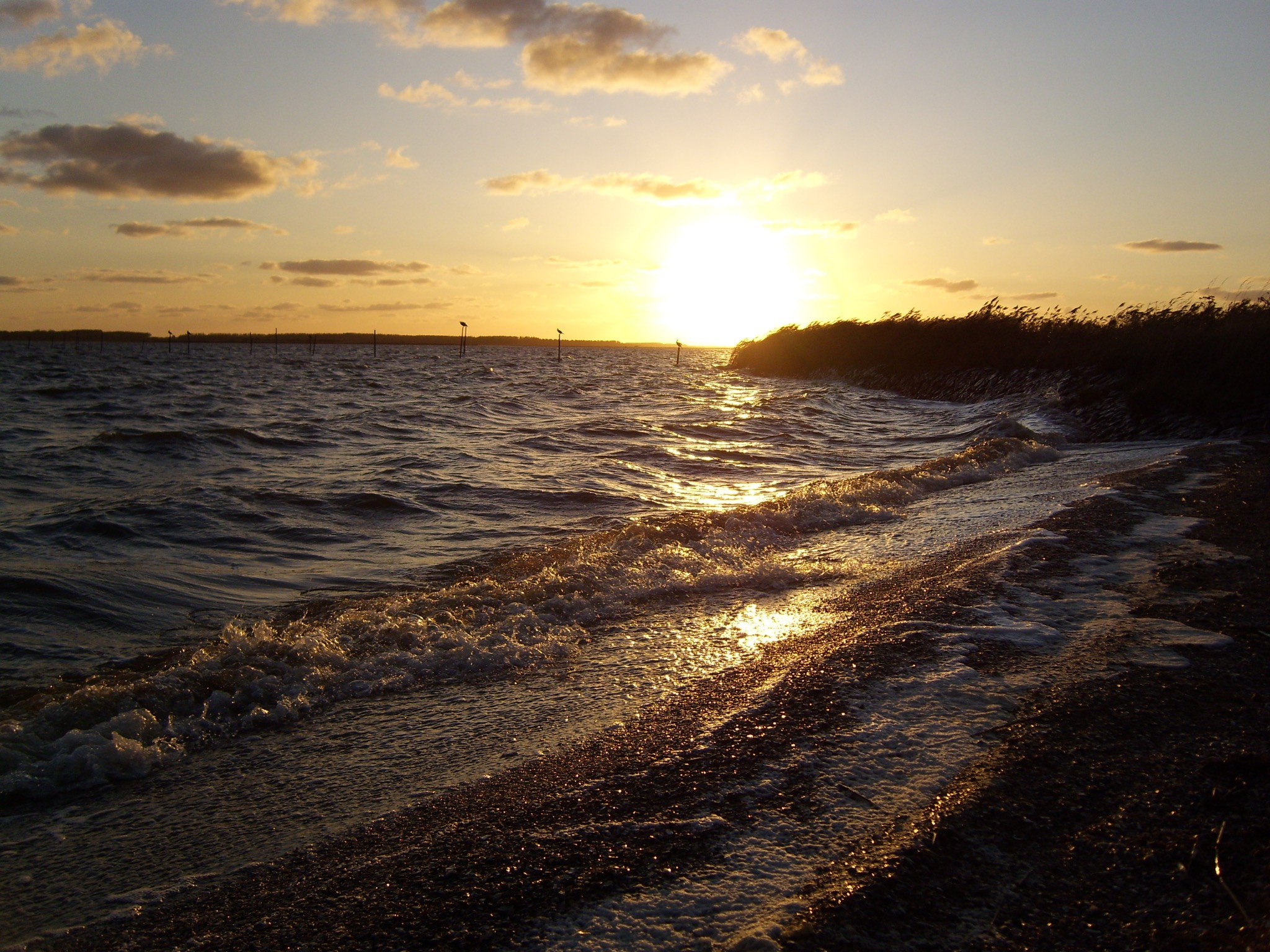 Nordsee und Wattenmeer
