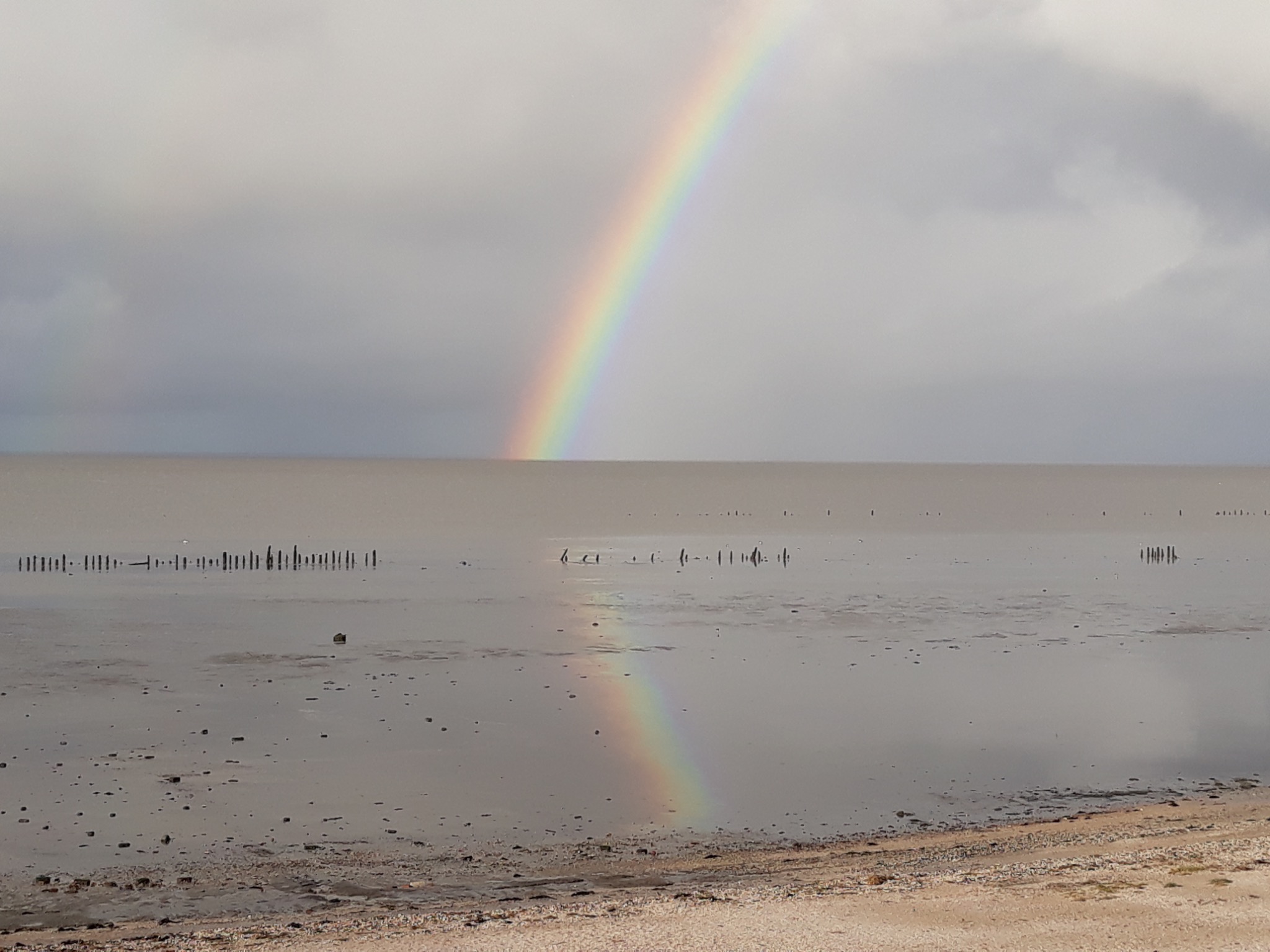 Regenbogen über dem Lauwersmeer